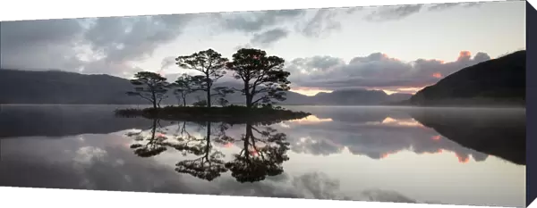 Scots pine (Pinus sylvestris) trees reflected in Loch Maree at sunrise with Slioch in background
