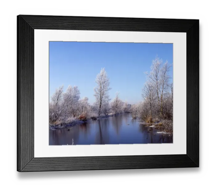 Framed Print : Brackagh Moss NNR in winter, Portadown, County Down, Northern Ireland, UK, January 2003 Framed Print : Brackagh Moss NNR in winter, Portadown, County Down, Northern Ireland, UK, January 2003
