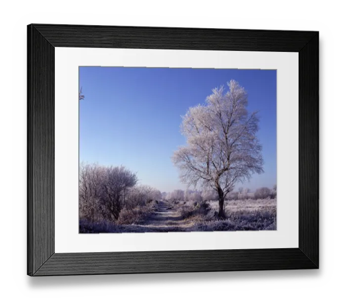 Framed Print : Winter landscape with hoar frost, Brackagh Moss NNR, Portadown, County Down, Northern Ireland