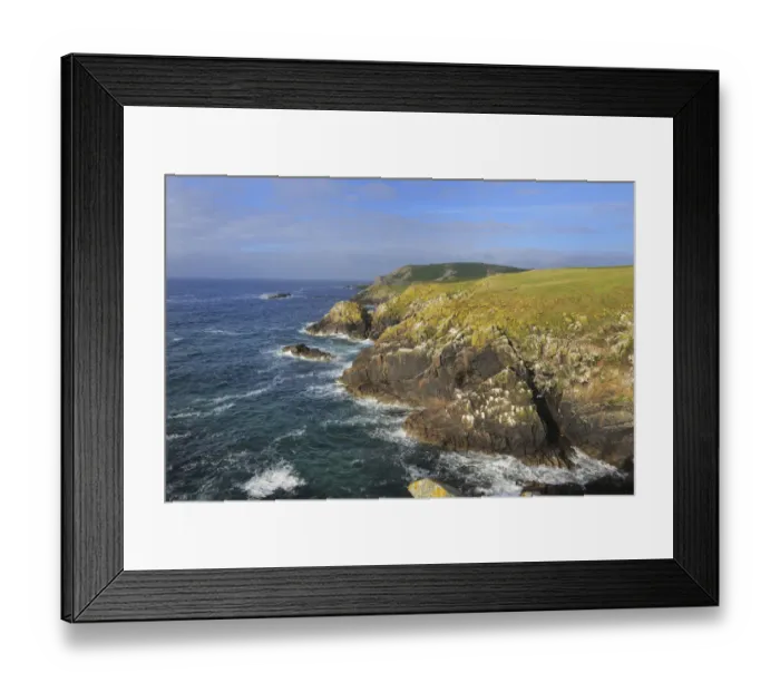 Framed Print : Coastal landscape with rocky headland, Great Saltee Island, County Wexford, Republic of Ireland Framed Print : Coastal landscape with rocky headland, Great Saltee Island, County Wexford, Republic of Ireland