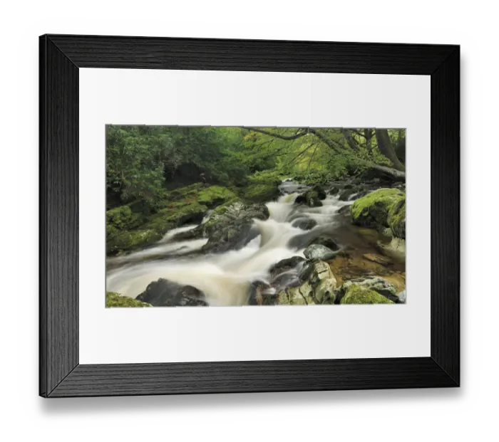 Framed Print : River Shimna, Tollymore Forest Park, Newcastle County Down, Ireland, October 2012 Framed Print : River Shimna, Tollymore Forest Park, Newcastle County Down, Ireland, October 2012