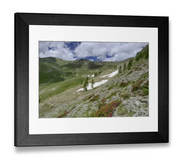 Framed Print : Landscape of Vallon des Milefonds, Mercantour National Park, Provence, France, June 2014 Framed Print : Landscape of Vallon des Milefonds, Mercantour National Park, Provence, France, June 2014