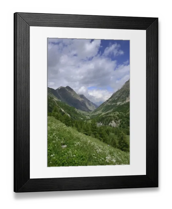Framed Print : Landscape of Vallee de Sant Anna, Maritime Alps, Italy, July 2014 Framed Print : Landscape of Vallee de Sant Anna, Maritime Alps, Italy, July 2014
