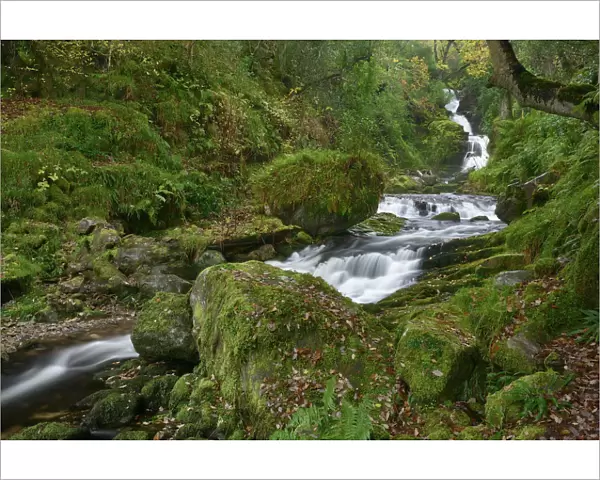 O Sullivans Cascade, Killarney National Park, County Kerry, Republic of Ireland