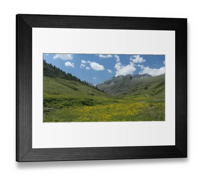 Framed Print : Alpine landscape, Colombina-Somarin, Italy, June 2017 Framed Print : Alpine landscape, Colombina-Somarin, Italy, June 2017