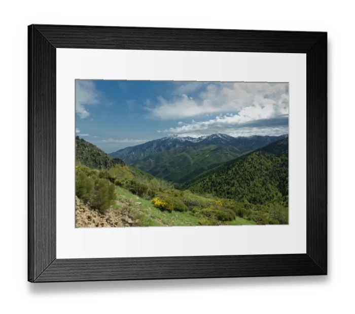 Framed Print : Forested mountains at Col de Mantet. Pyrenees Orientales, south west France. May 2018 Framed Print : Forested mountains at Col de Mantet. Pyrenees Orientales, south west France. May 2018