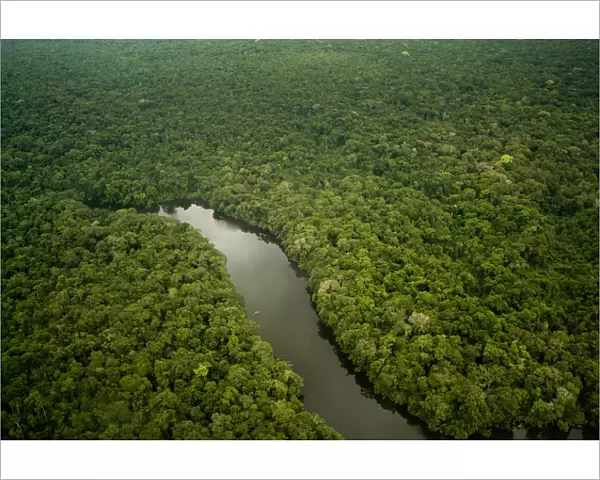 Aerial view of Lago Preto, Amazon Rainforest and lake, Peru