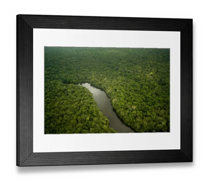 Framed Print : Aerial view of Lago Preto, Amazon Rainforest and lake, Peru Framed Print : Aerial view of Lago Preto, Amazon Rainforest and lake, Peru
