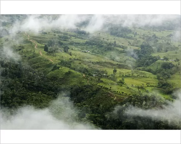 Aerial view of cloud forest cleared for pasture near to populations of Yellow-tailed woolly monkeys