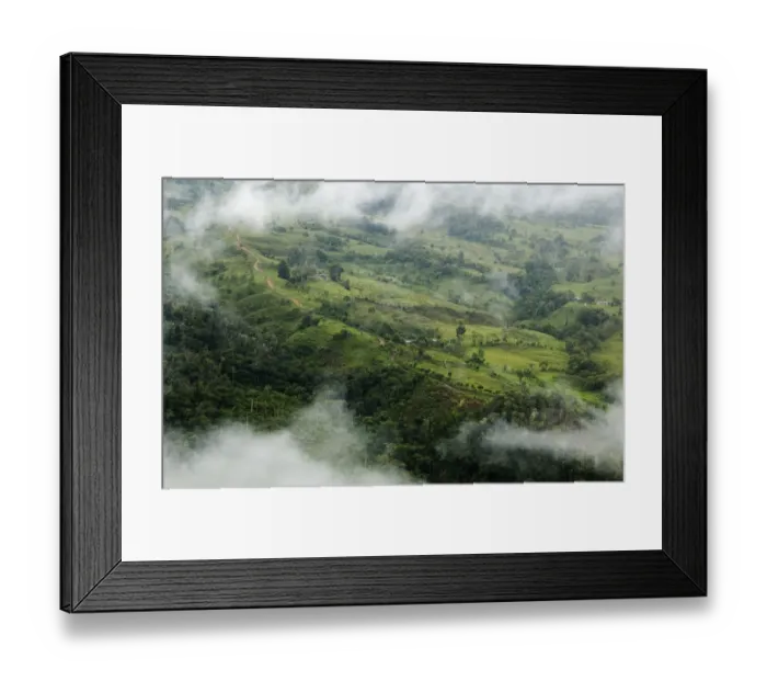 Framed Print : Aerial view of cloud forest cleared for pasture near to populations of Yellow-tailed woolly monkeys Framed Print : Aerial view of cloud forest cleared for pasture near to populations of Yellow-tailed woolly monkeys