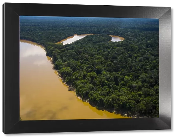 Aerial view of Amazon Rainforest and the Yavari River, and oxbow lake, Peru. July 2015