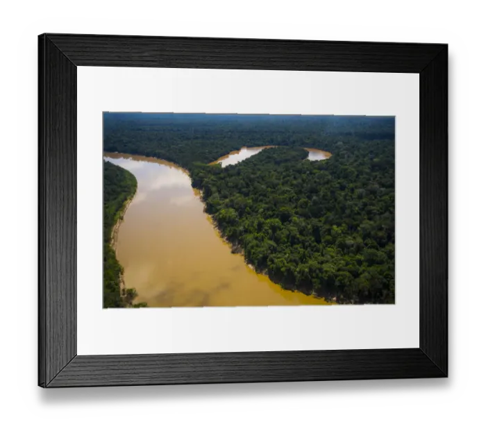 Framed Print : Aerial view of Amazon Rainforest and the Yavari River, and oxbow lake, Peru. July 2015