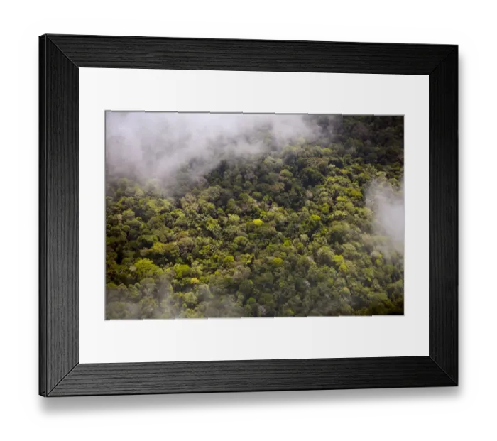Framed Print : Aerial view of Amazon Rainforest, Peru, July 2015 Framed Print : Aerial view of Amazon Rainforest, Peru, July 2015