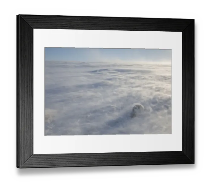 Framed Print : Mountain hare (Lepus timidus) in extreme winds with spin drifts of snow, Cairngorms National Park Framed Print : Mountain hare (Lepus timidus) in extreme winds with spin drifts of snow, Cairngorms National Park