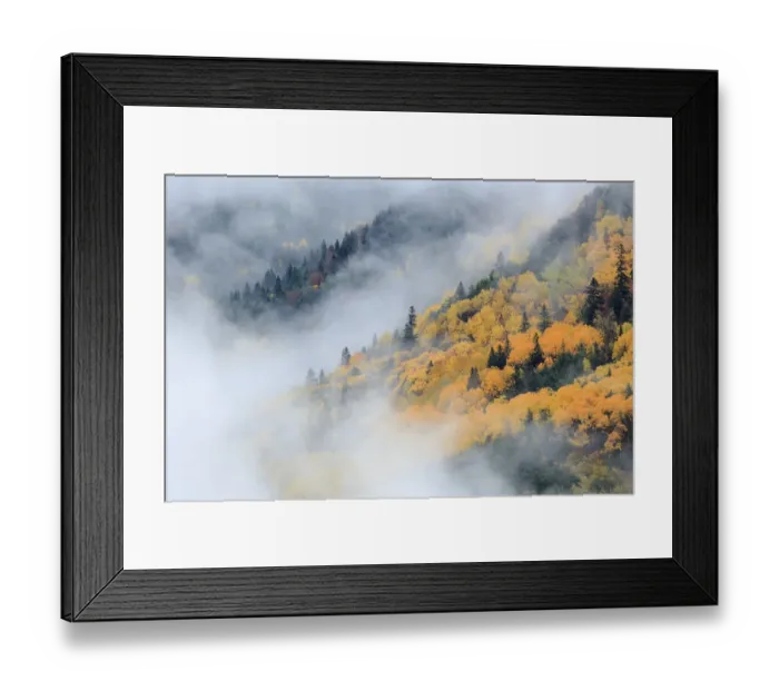 Framed Print : Autumnal woodland in mist, Ordesa y Monte Perdido National Park, Huesca, Spain, October Framed Print : Autumnal woodland in mist, Ordesa y Monte Perdido National Park, Huesca, Spain, October