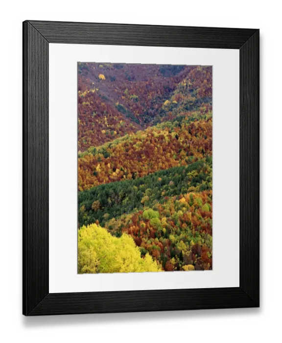 Framed Print : Autumnal forest landscape in Ordesa y Monte Perdido National Park, Huesca, Spain, October 2015 Framed Print : Autumnal forest landscape in Ordesa y Monte Perdido National Park, Huesca, Spain, October 2015