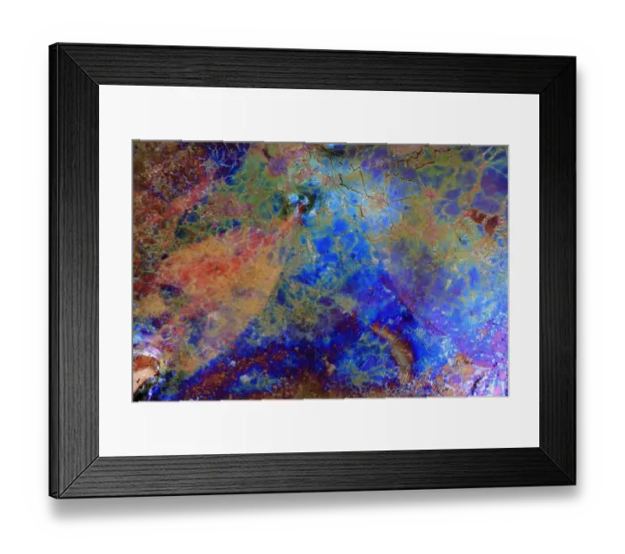 Framed Print : Bacteria (Leptothryx discophora) causing iridescent sheen on water surface with White willow leaf Framed Print : Bacteria (Leptothryx discophora) causing iridescent sheen on water surface with White willow leaf