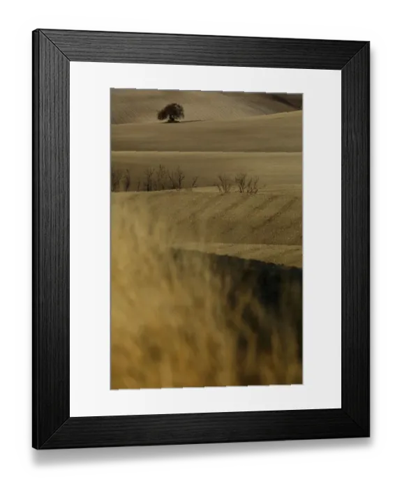 Framed Print : Andalusian farmland, Arcos de la Frontera, southern Spain, March 2014 Framed Print : Andalusian farmland, Arcos de la Frontera, southern Spain, March 2014