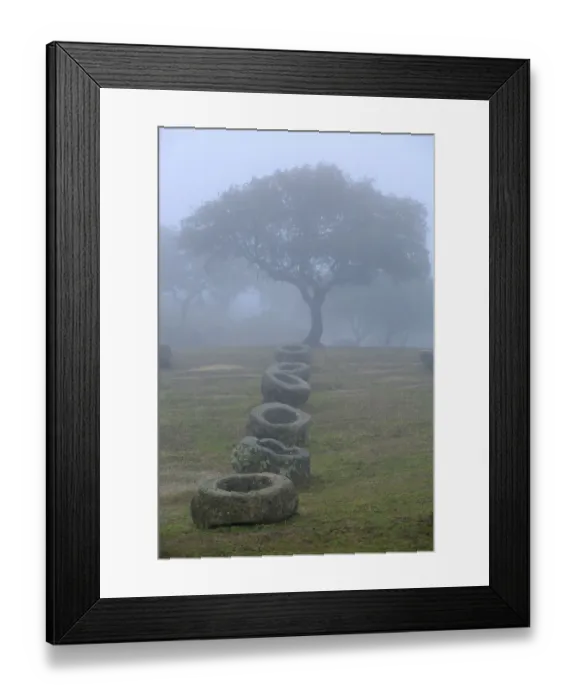 Framed Print : Granite feeding troughs for bulls in the fog in Sierra de Andujar Natural Park, Jaen Framed Print : Granite feeding troughs for bulls in the fog in Sierra de Andujar Natural Park, Jaen
