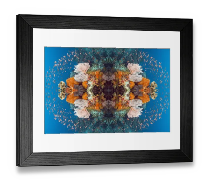 Framed Print : Kaleidoscopic image of Coral reef scenery with gorgonian, soft corals and Lyretail anthias Framed Print : Kaleidoscopic image of Coral reef scenery with gorgonian, soft corals and Lyretail anthias