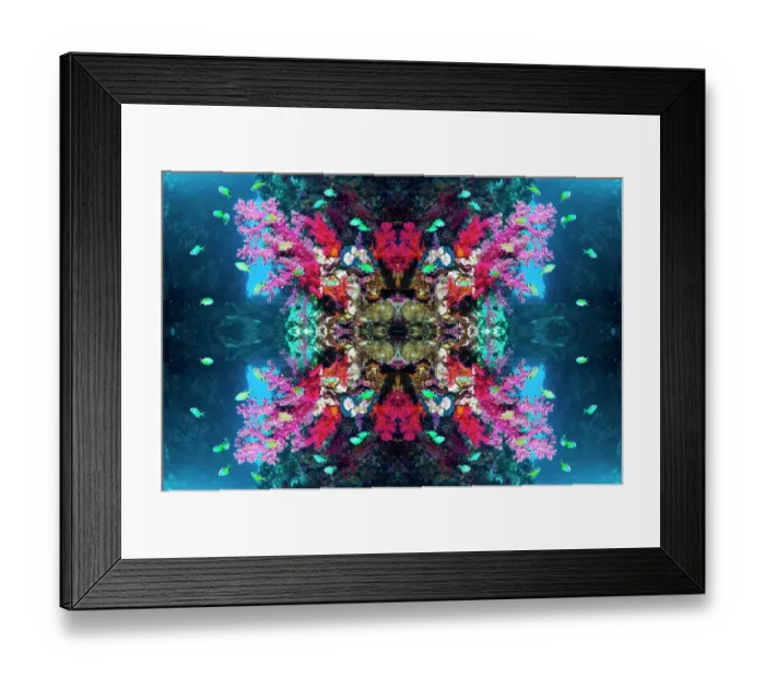 Framed Print : Kaleidoscopic image of Blue-green chromis (Chromis atripectoralis) Coral reef landscape Framed Print : Kaleidoscopic image of Blue-green chromis (Chromis atripectoralis) Coral reef landscape
