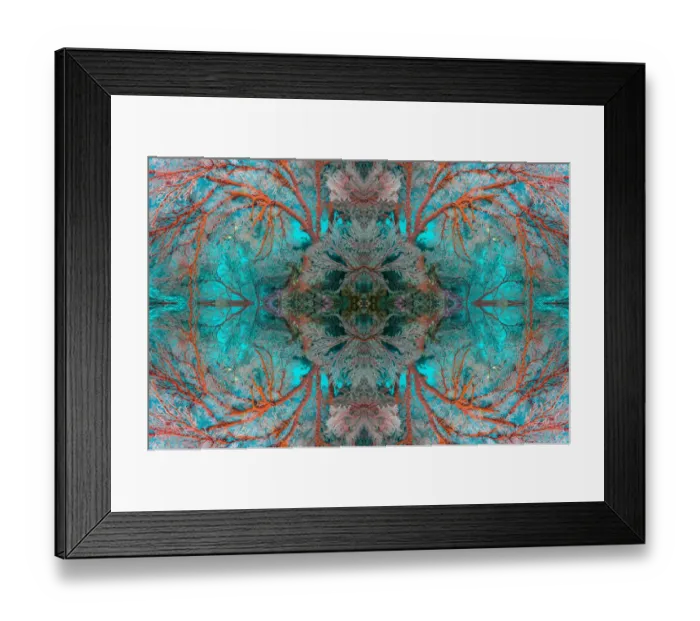 Framed Print : Kaleidoscopic image of Gorgonian sea fan (Melithaea sp. ) Similan Islands, Andaman Sea, Thailand Framed Print : Kaleidoscopic image of Gorgonian sea fan (Melithaea sp. ) Similan Islands, Andaman Sea, Thailand