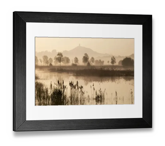 Framed Print : View towards Glastonbury Tor over reedbeds at dawn, Somerset, England Framed Print : View towards Glastonbury Tor over reedbeds at dawn, Somerset, England