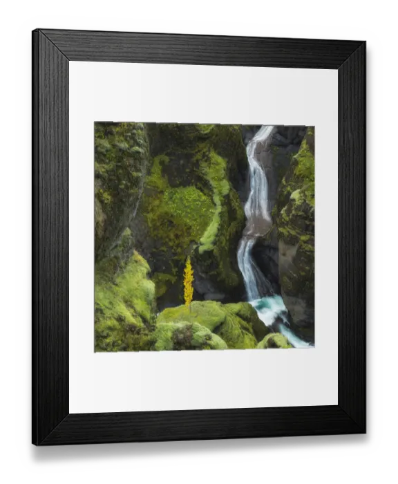 Framed Print : Waterfall in Fjaorargljufur canyon, Kirkjubaejarklaustur, Iceland, August 2017 Framed Print : Waterfall in Fjaorargljufur canyon, Kirkjubaejarklaustur, Iceland, August 2017