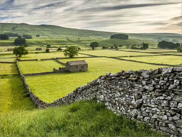 Dry-stone walls and barns in Wensleydale, Yorkshire Dales National Park, North Yorkshire