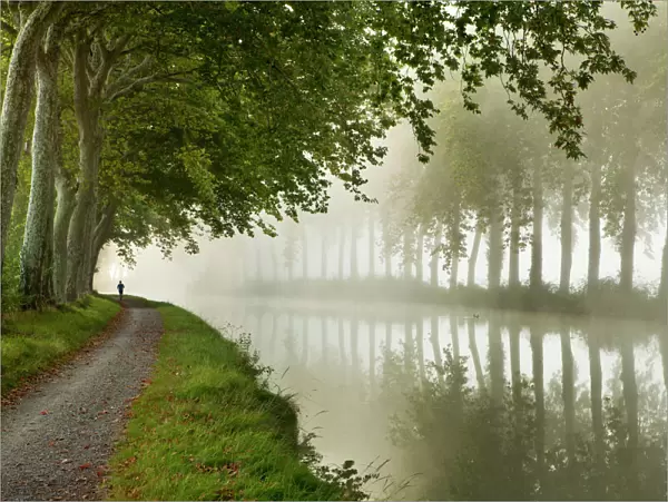 A jogger on the towpath of the Canal du Midi near Castelnaudary, Languedoc-Rousillon, France