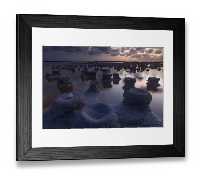 Framed Print : Caribbean flamingo (Phoenicopterus ruber) abandoned egg in nest at the end of the breeding season Framed Print : Caribbean flamingo (Phoenicopterus ruber) abandoned egg in nest at the end of the breeding season