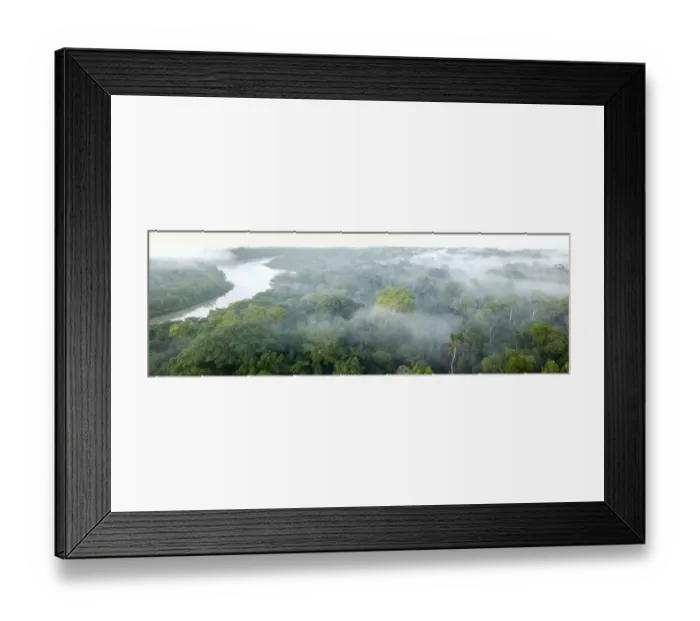 Framed Print : Aerial view of lowland Amazonia rainforest in morning mist. Manu Biosphere Reserve, Amazonia, Peru Framed Print : Aerial view of lowland Amazonia rainforest in morning mist. Manu Biosphere Reserve, Amazonia, Peru