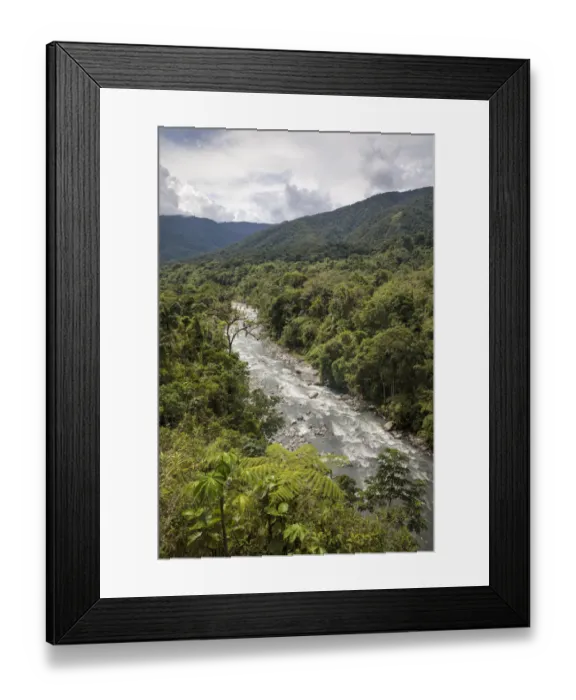 Framed Print : River running through cloud forest, Manu Biosphere Reserve, Amazonia, Peru Framed Print : River running through cloud forest, Manu Biosphere Reserve, Amazonia, Peru