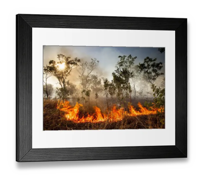 Framed Print : Bush fire triggered by lightning storm, Western Australia. December 2013 Framed Print : Bush fire triggered by lightning storm, Western Australia. December 2013