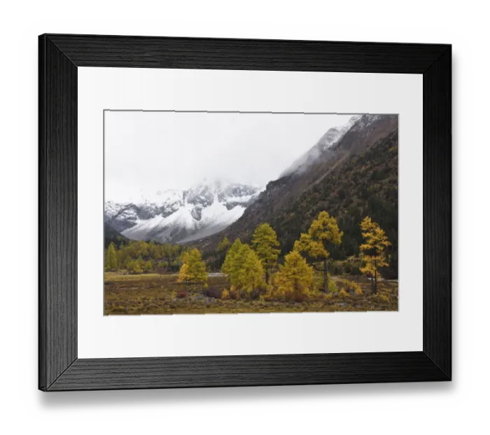 Framed Print : Autumn colours and snow covered mountains Baima Snow Mountain Nature reserve, Yunnan Framed Print : Autumn colours and snow covered mountains Baima Snow Mountain Nature reserve, Yunnan
