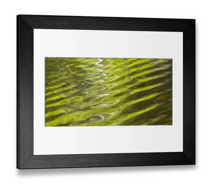 Framed Print : Woodland reflected on surface of river water, Finland Framed Print : Woodland reflected on surface of river water, Finland