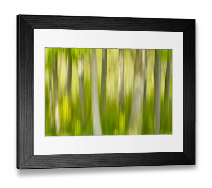 Framed Print : Abstract of forest, The National Forest, UK, Spring, 2011 Framed Print : Abstract of forest, The National Forest, UK, Spring, 2011