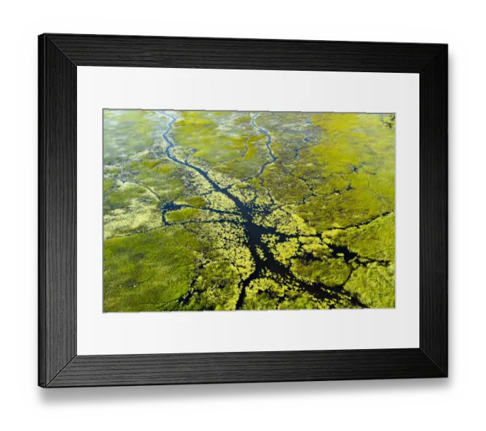 Framed Print : RF- Aerial view of the Okavango delta, Botswana, May 2010 Framed Print : RF- Aerial view of the Okavango delta, Botswana, May 2010