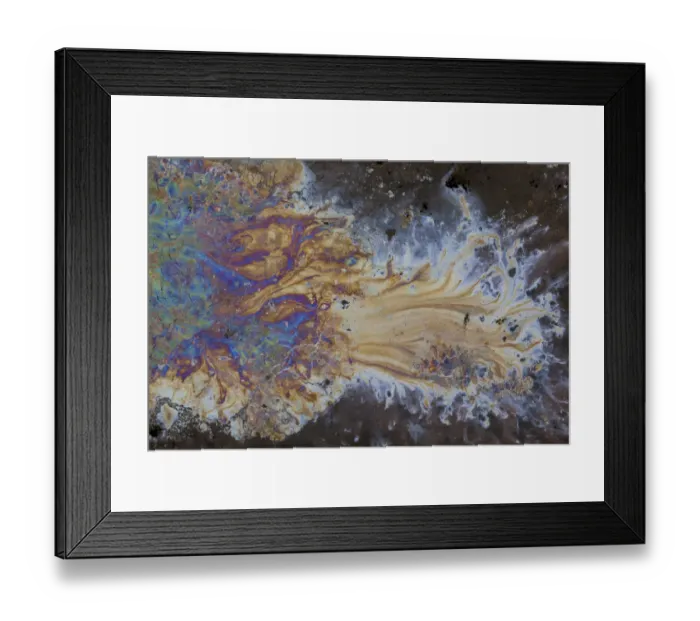 Framed Print : Bacteria - iron and manganese oxidizers and their complementary reducers, in Framed Print : Bacteria - iron and manganese oxidizers and their complementary reducers, in