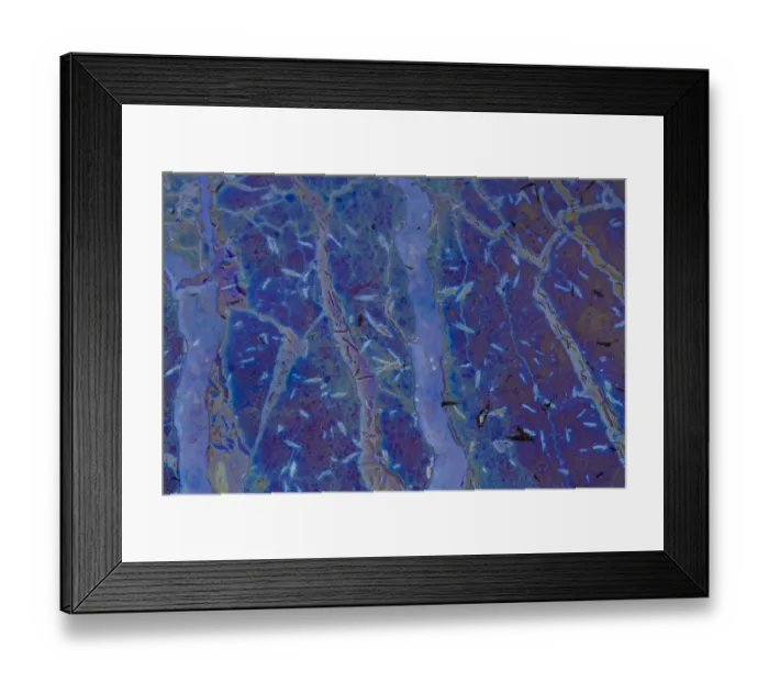 Framed Print : Bacteria - iron and manganese oxidizers and their complementary reducers, in Framed Print : Bacteria - iron and manganese oxidizers and their complementary reducers, in