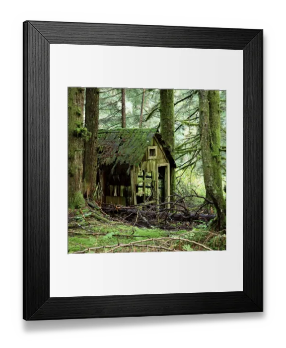 Framed Print : Rotting wooden shed covered in moss, Washington State, USA Framed Print : Rotting wooden shed covered in moss, Washington State, USA