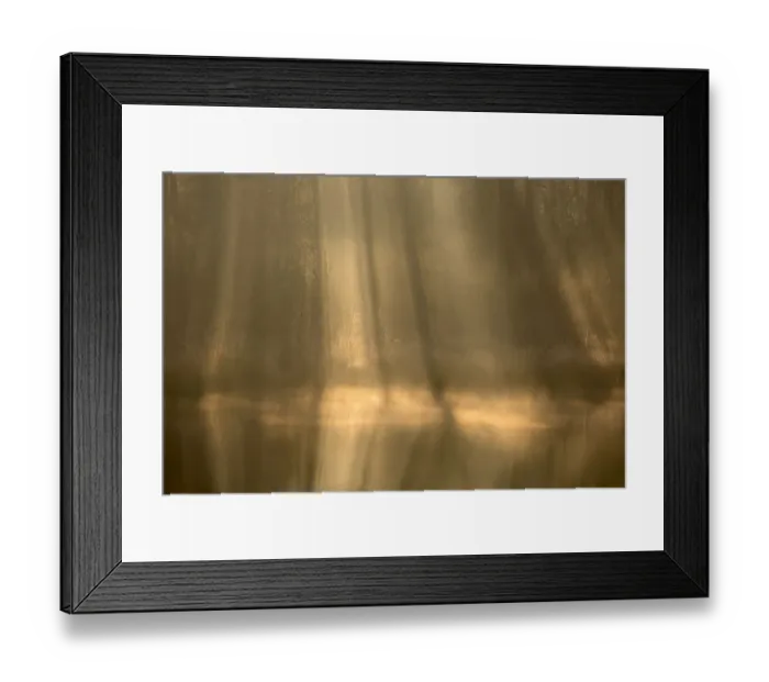 Framed Print : Rays of light in a fen on a misty morning, Oisterwijkse Bossen en Vennen Reserve Framed Print : Rays of light in a fen on a misty morning, Oisterwijkse Bossen en Vennen Reserve
