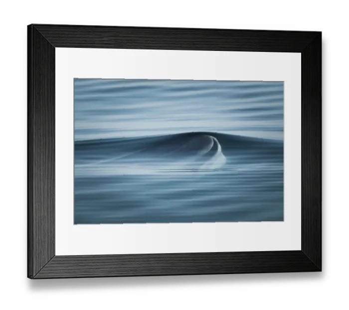 Framed Print : Fin whale (Balaenoptera physalus) surfacing, Bay of Fundy, New Brunswick, Canada, August Framed Print : Fin whale (Balaenoptera physalus) surfacing, Bay of Fundy, New Brunswick, Canada, August