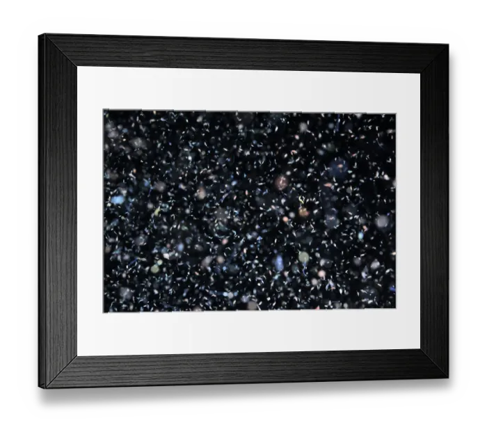 Framed Print : Plankton at night, Palau, Philippine Sea Framed Print : Plankton at night, Palau, Philippine Sea