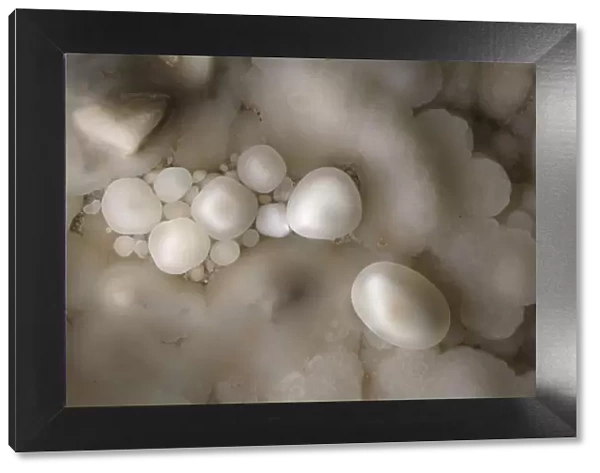 Cave Pearls, formed as dripping water rich in calcium salts deposits calcite around