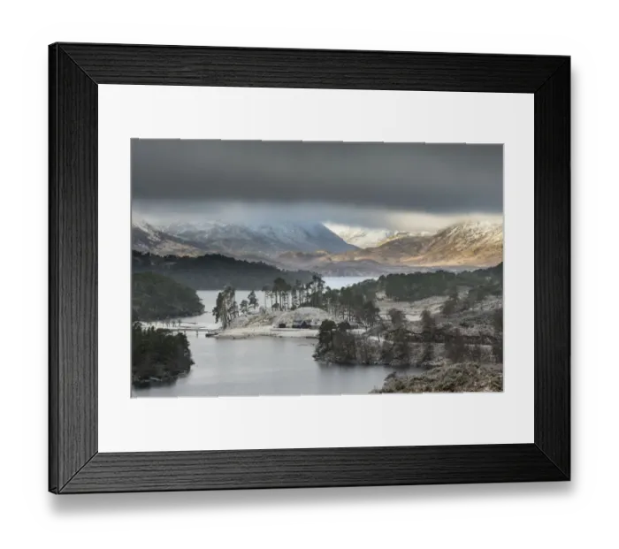 Framed Print : Birch (Betula pendula) and Scots pine (Pinus sylvestris) forest around Loch Affric Framed Print : Birch (Betula pendula) and Scots pine (Pinus sylvestris) forest around Loch Affric