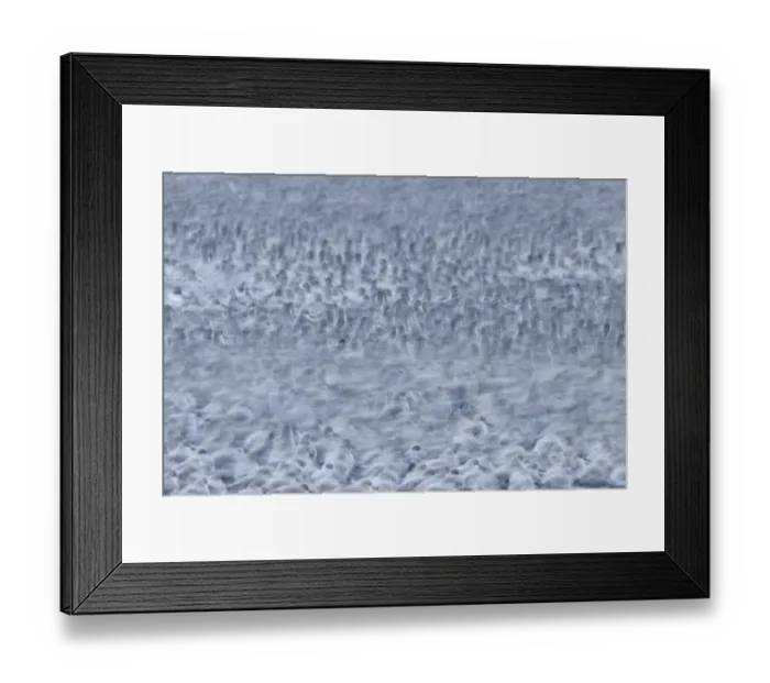 Framed Print : Abstract of Knot (Calidris canutus) flock roosting, The Wash, Norfolk, UK, December Framed Print : Abstract of Knot (Calidris canutus) flock roosting, The Wash, Norfolk, UK, December