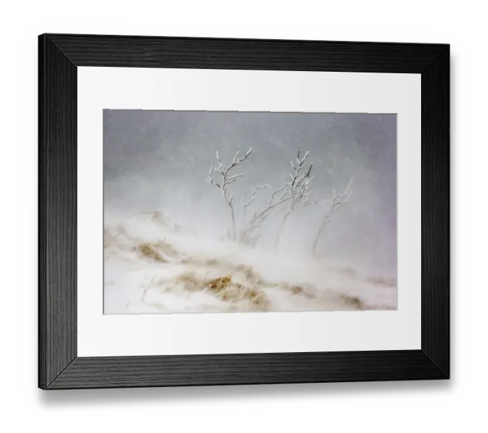 Framed Print : Tree covered in ice and frost during snowfall with heavy wind, Hohneck mountain, Vosges Framed Print : Tree covered in ice and frost during snowfall with heavy wind, Hohneck mountain, Vosges