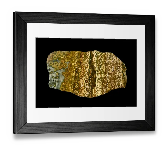Framed Print : Orbicular jasper, ocean jasper from Madagascar, a variety of jasper which Framed Print : Orbicular jasper, ocean jasper from Madagascar, a variety of jasper which