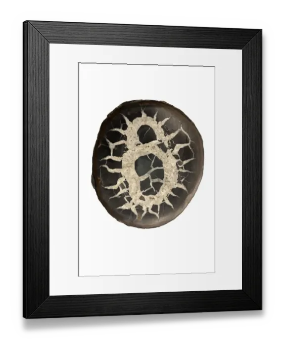 Framed Print : Septarian concretion or (septarian nodules) from Morocco Framed Print : Septarian concretion or (septarian nodules) from Morocco